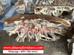 Meja Akar Konsul Alami